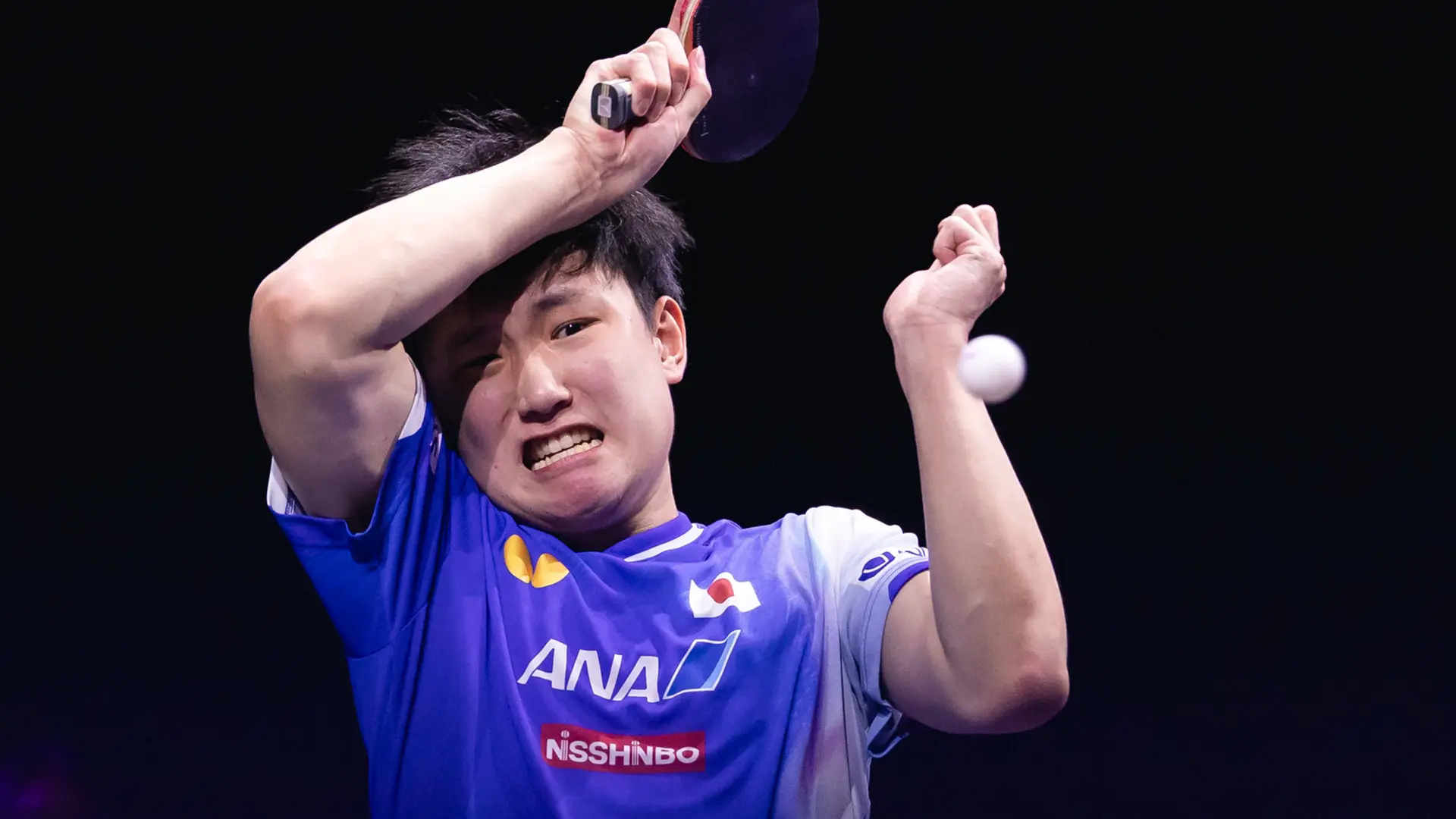 同样的打法, 新尝试, 智和 同样的打法, 新尝试, 智和