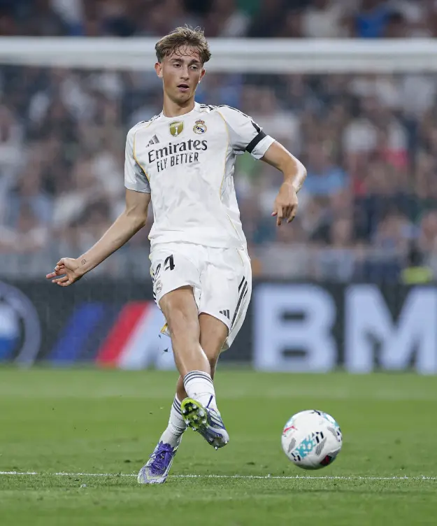 今夏入主伯 今夏入主伯