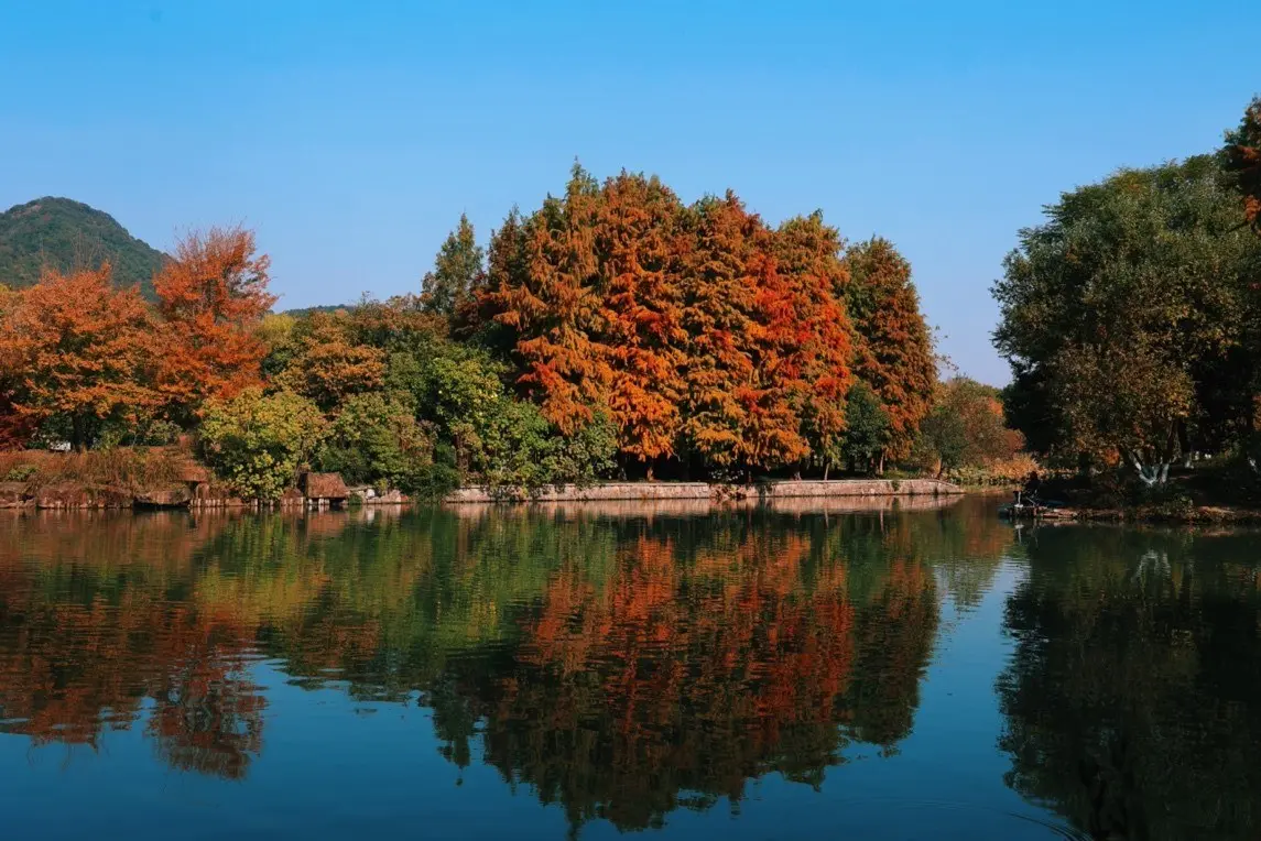 纪念证书, 前往萧山各
