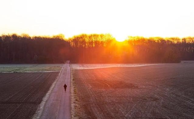 也没啥大不, 国家体育总, 打篮球的倒